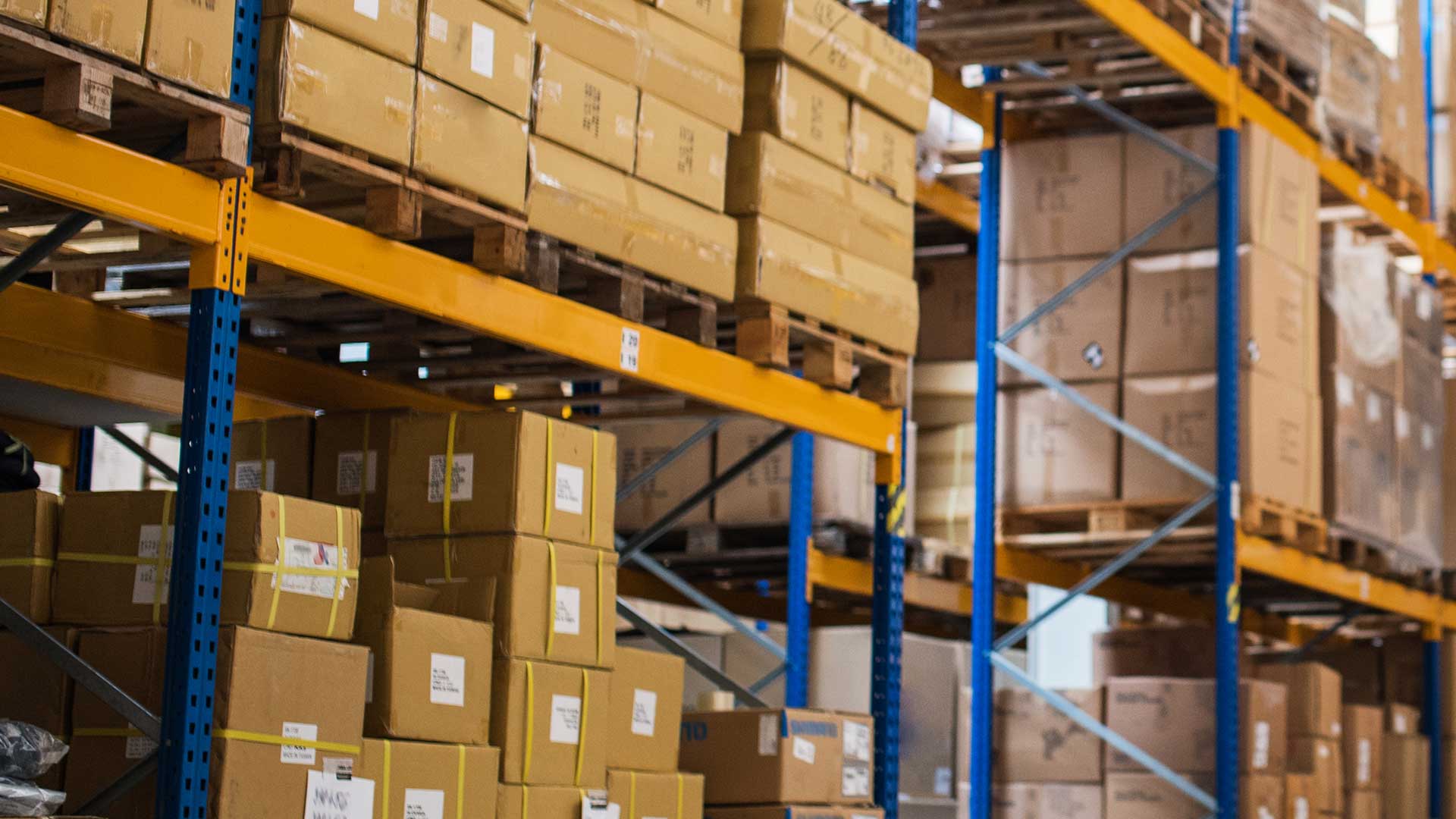 WorkCover Accident Insurance Policy in Queensland