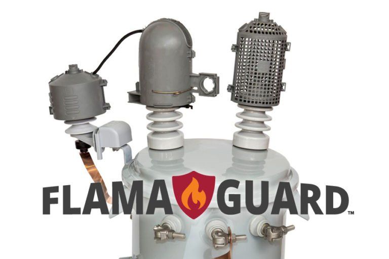 image of flama guard product logo