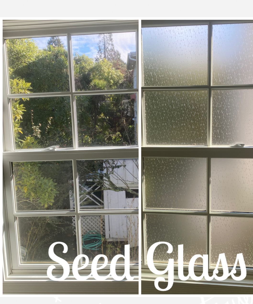 A side-by-side comparison of a clear window looking out at trees and a window with seeded, textured glass.