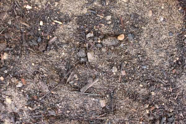 Garden Supplies & Earthmoving & Drainage Contractors Shepparton