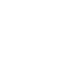Image of a bee in a honeycomb-like shape