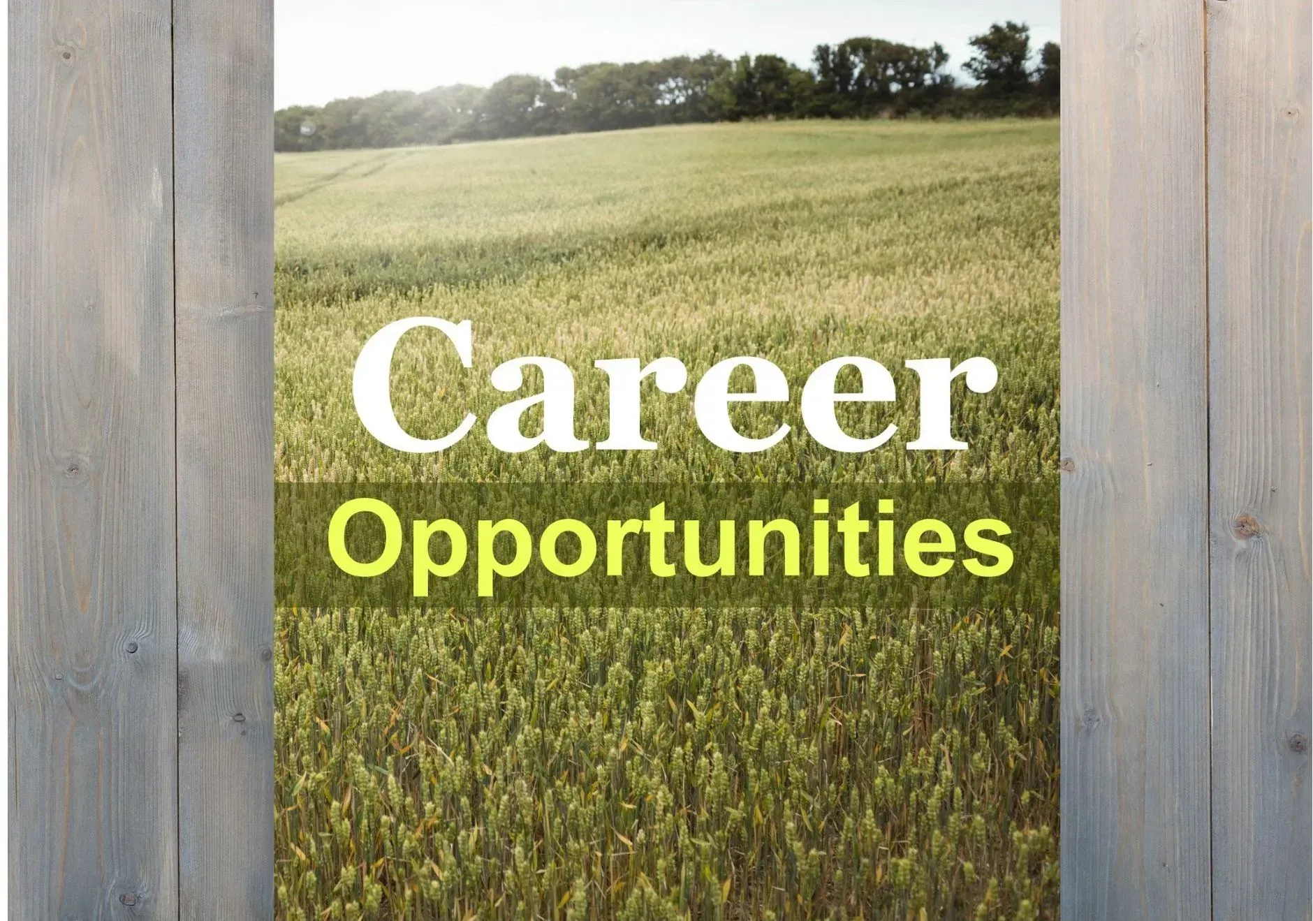 Careers at Peet Law Group: Join Vermont’s Leading Real Estate Law Firm