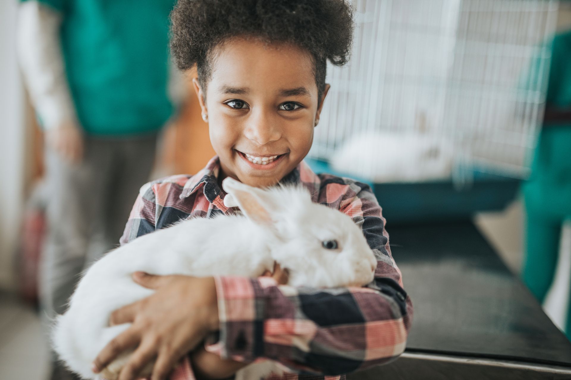 Doctor and Dog — St Louis, MO — Watson Road Veterinary Clinic