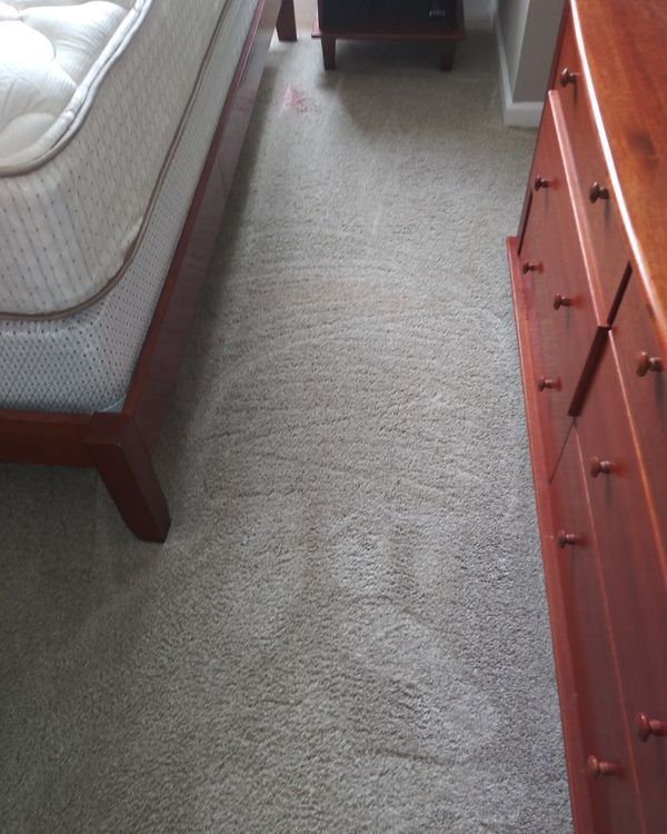 After Carpet Floor Cleaning — St. Clair Shores, MI — USA Carpet Care & Dye
