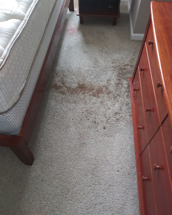 Before Carpet Floor Cleaning — St. Clair Shores, MI — USA Carpet Care & Dye