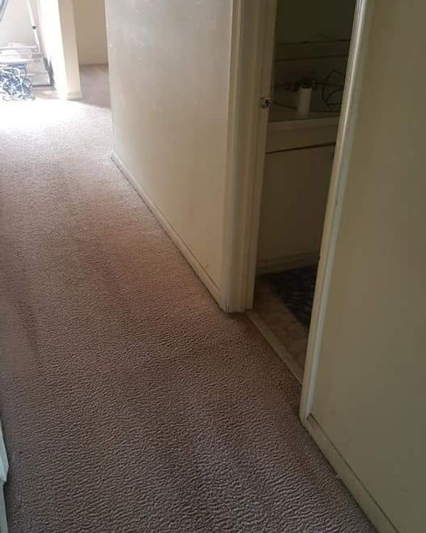 After Cleaning — St. Clair Shores, MI — USA Carpet Care & Dye