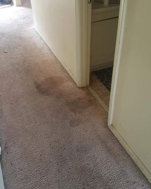 Before Cleaning — St. Clair Shores, MI — USA Carpet Care & Dye