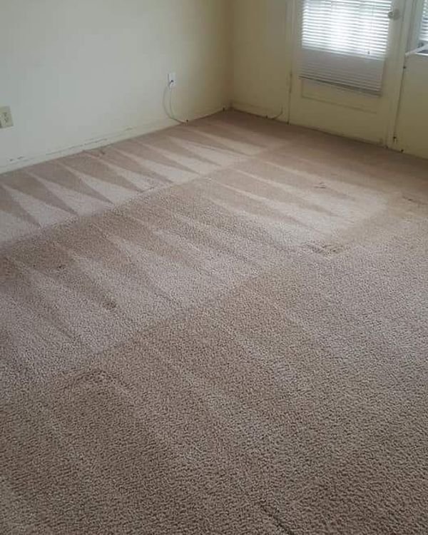 After Carpet Cleaning — St. Clair Shores, MI — USA Carpet Care & Dye