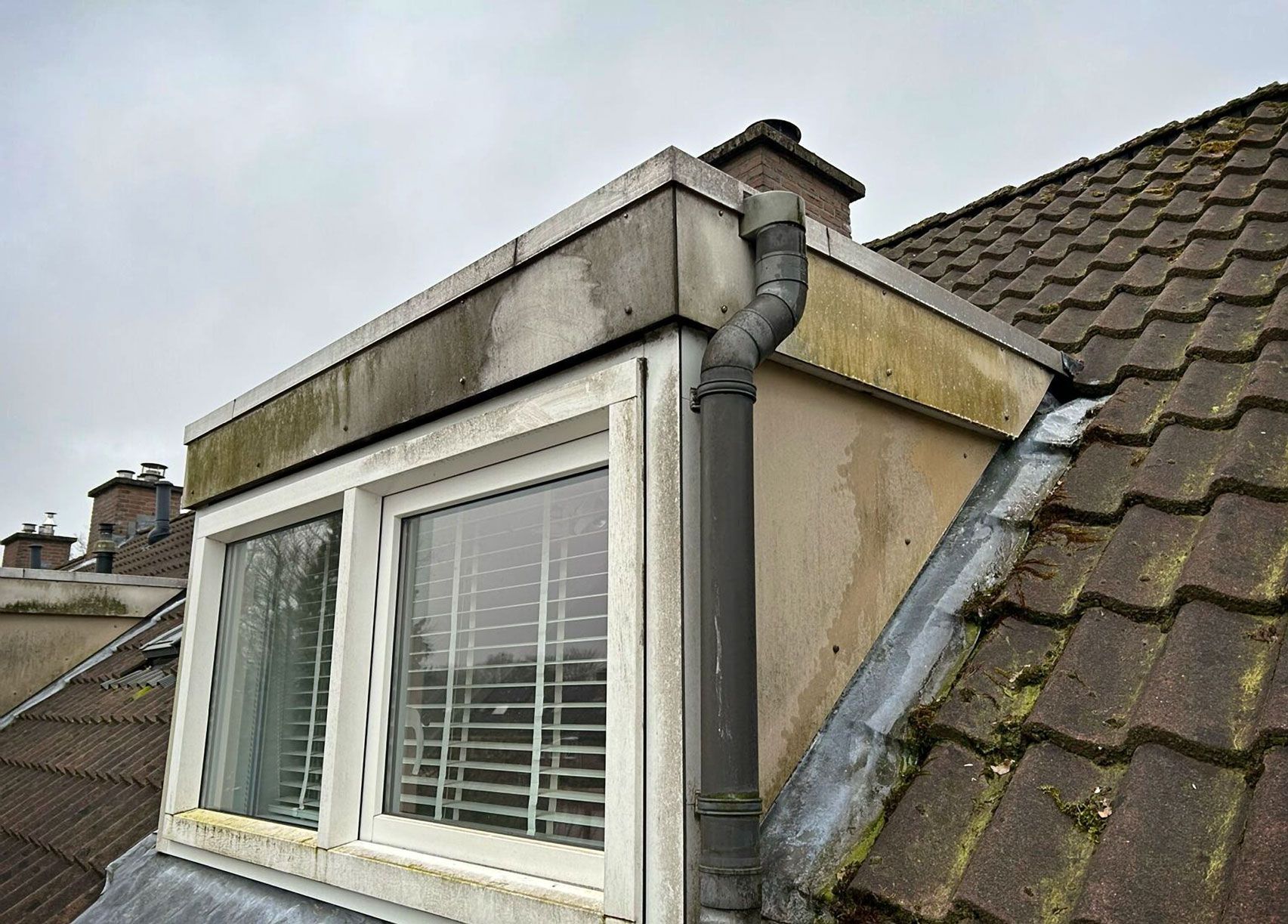 Reinigings Service Van der Burg dakkapel reiniging voor