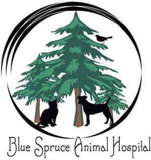Blue Spruce Animal Hospital