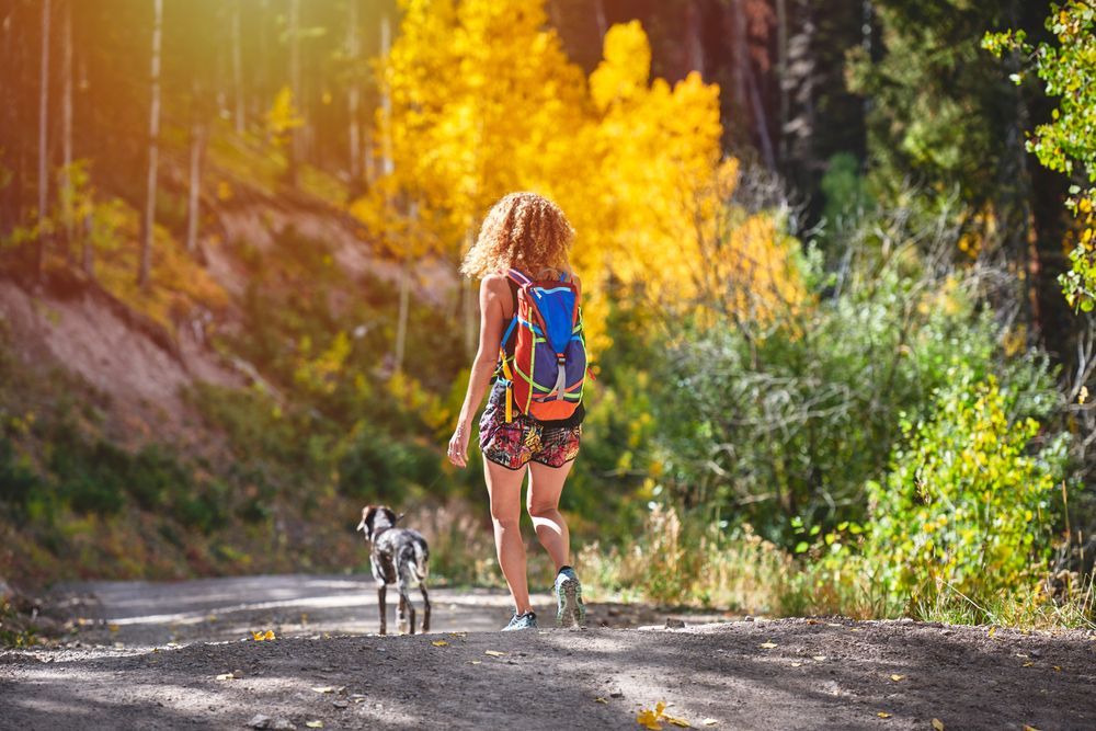 About Us Evergreen, CO Blue Spruce Animal Hospital
