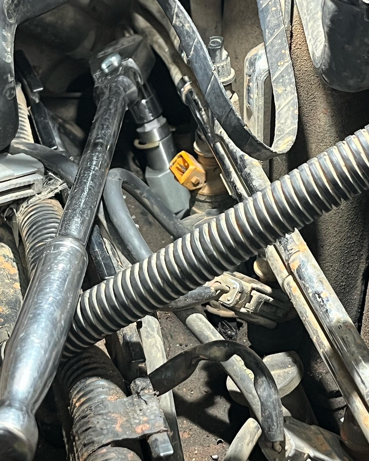 SHOP IMAGE | 4D Garage