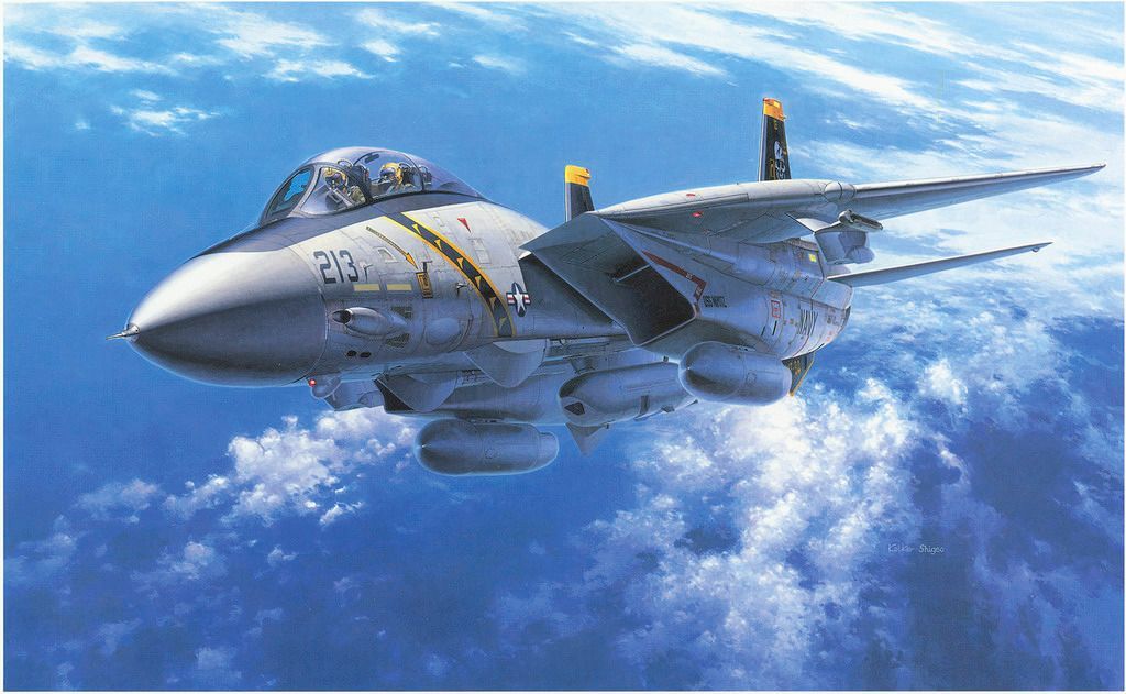 Grumman F-14A Tomcat