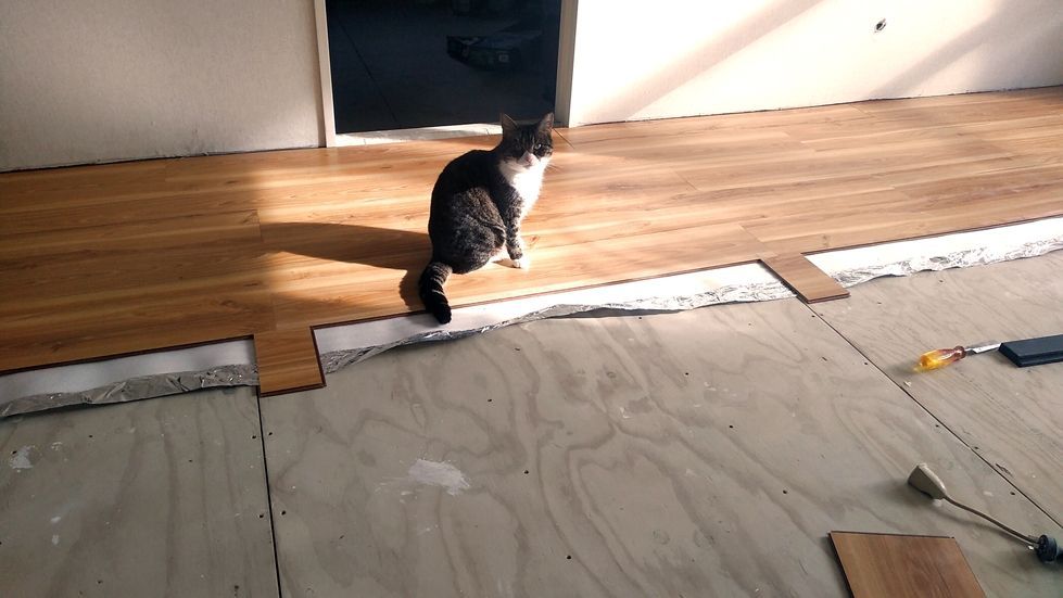 Gallery Build Progress