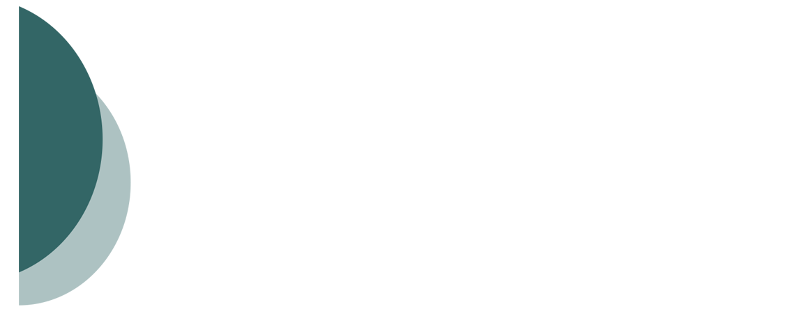 logo linea futura srl