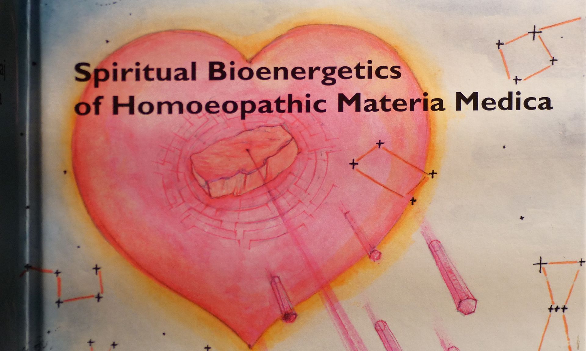 A book titled spiritual bioenergetics of homoeopathic materia medica