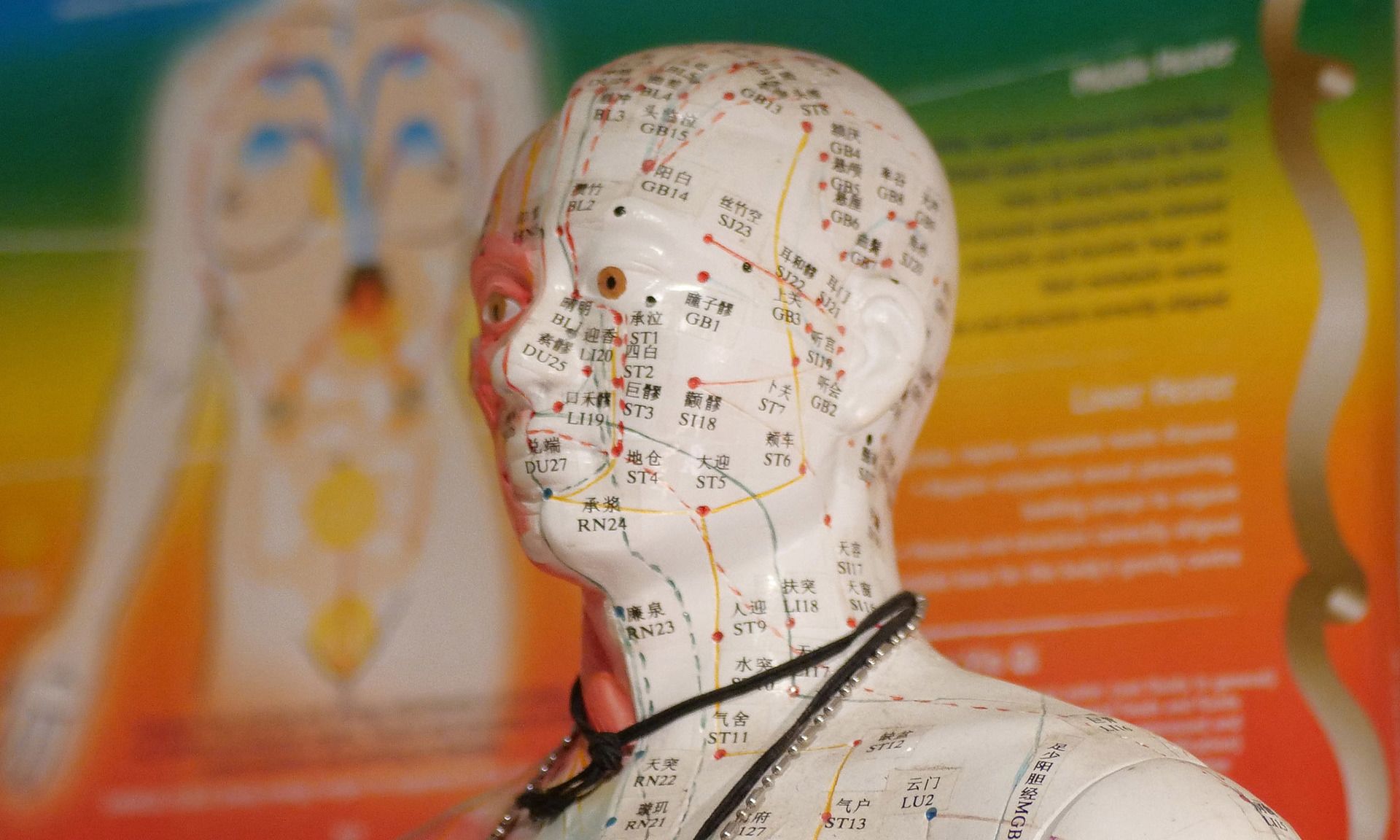 A close up of a mannequin with acupuncture points on it 's face.