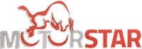 Logo MOTORSTAR SCOOTER E MOTO
