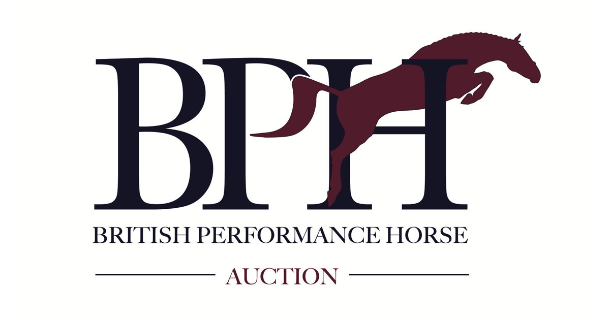 BPH Auction - British Performance Horse - Horses for Sale at Auction