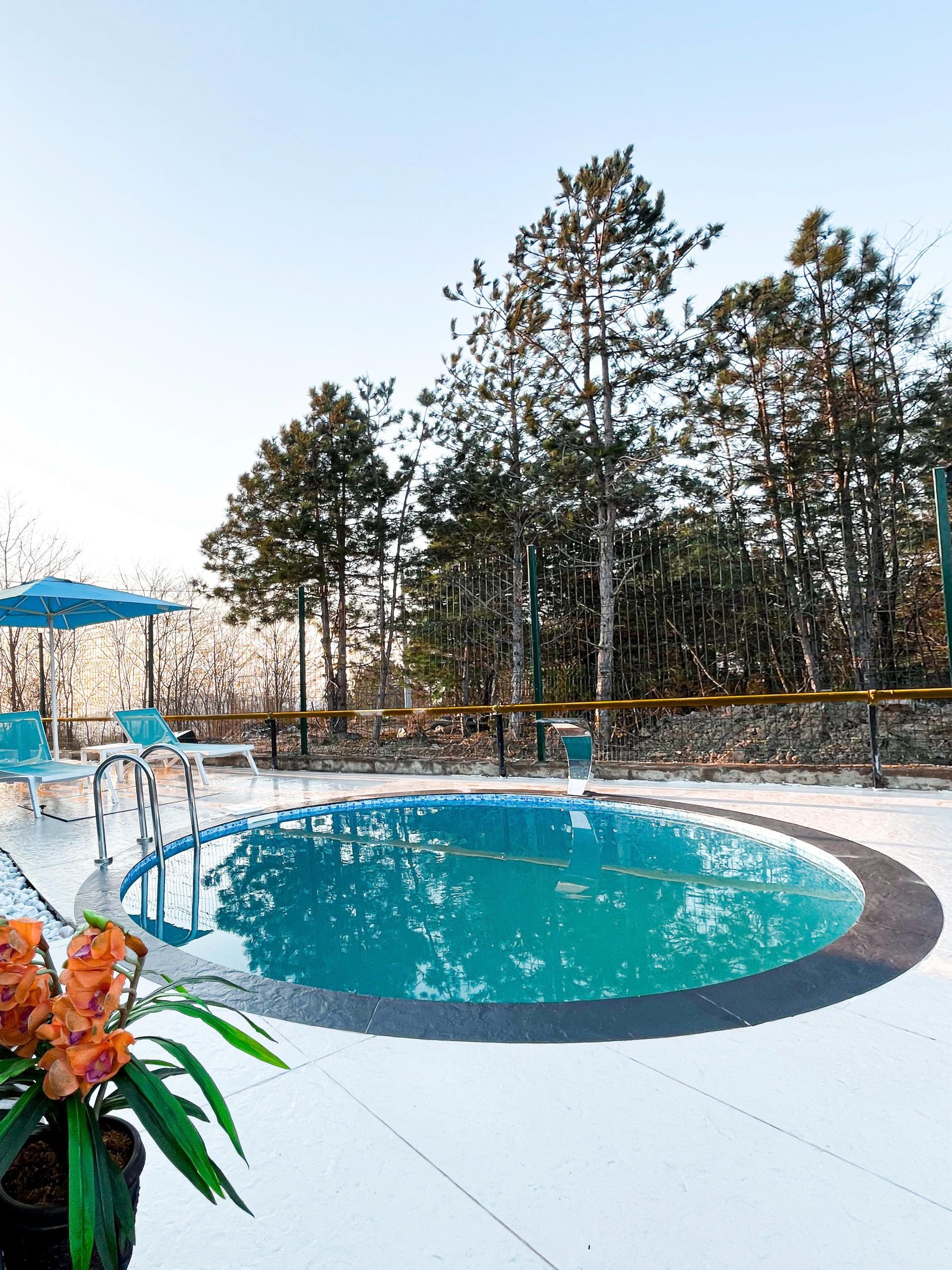 World Dreams Forest Bungalov