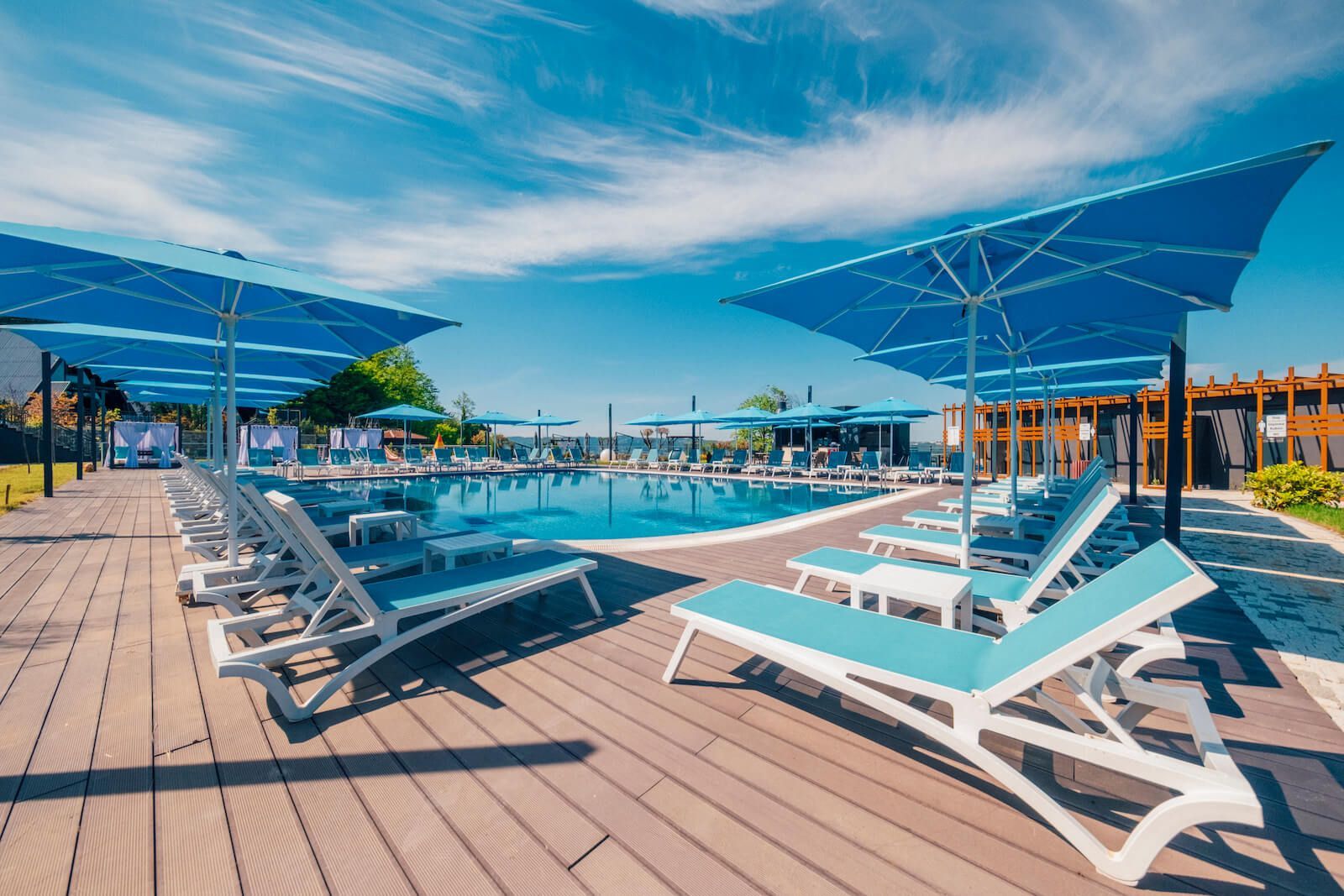 World Dreams Forest Bungalov