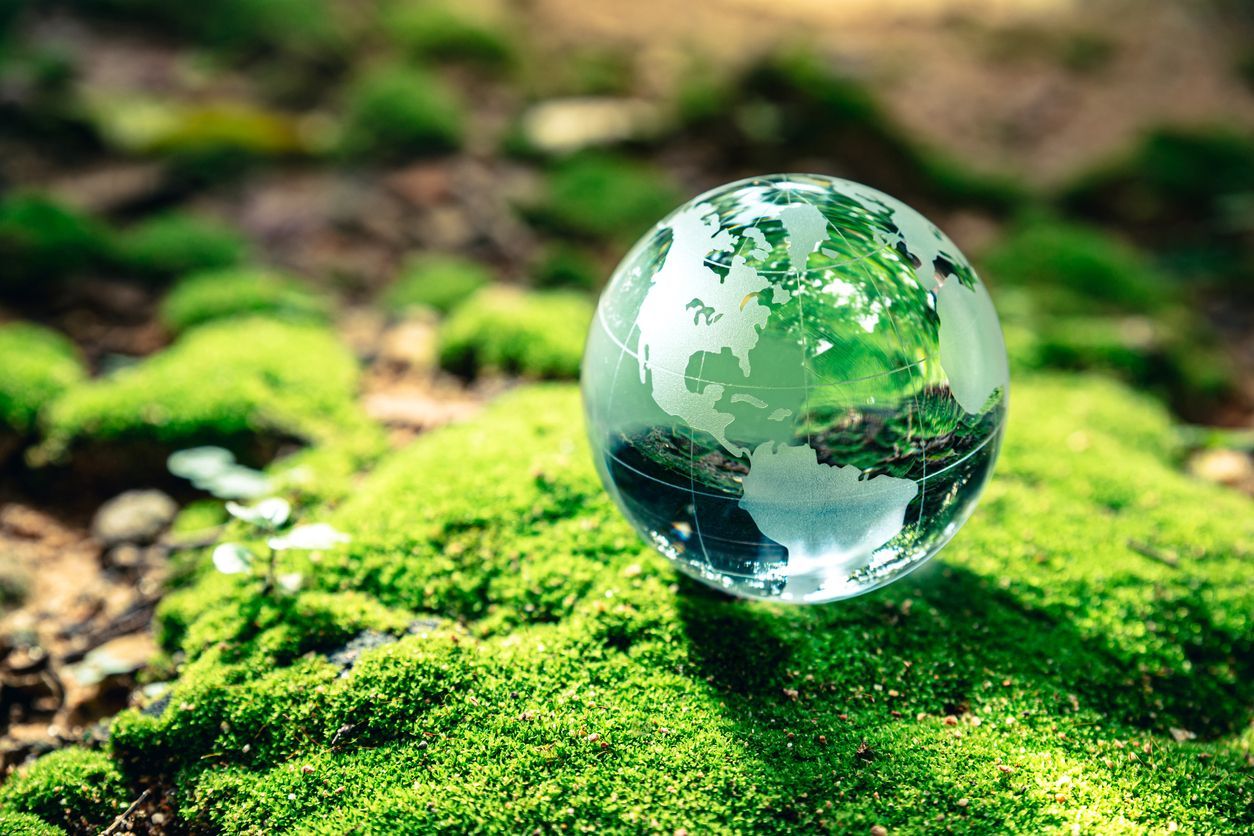 a glass globe is sitting on top of a pile of moss .