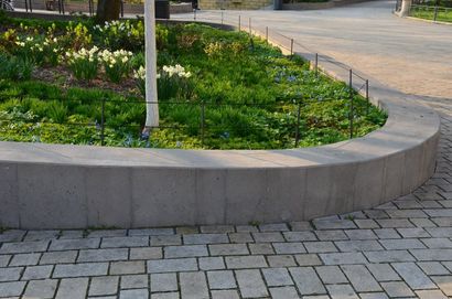 A landscape garden in a park with concrete retaining wall in Perth WA.