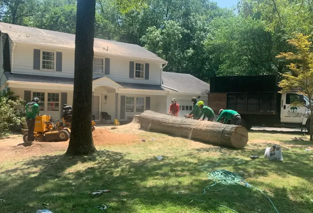 About AX Tree Services LLC