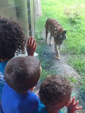 Kids with a Tiger — Preschool in Virginia, VA