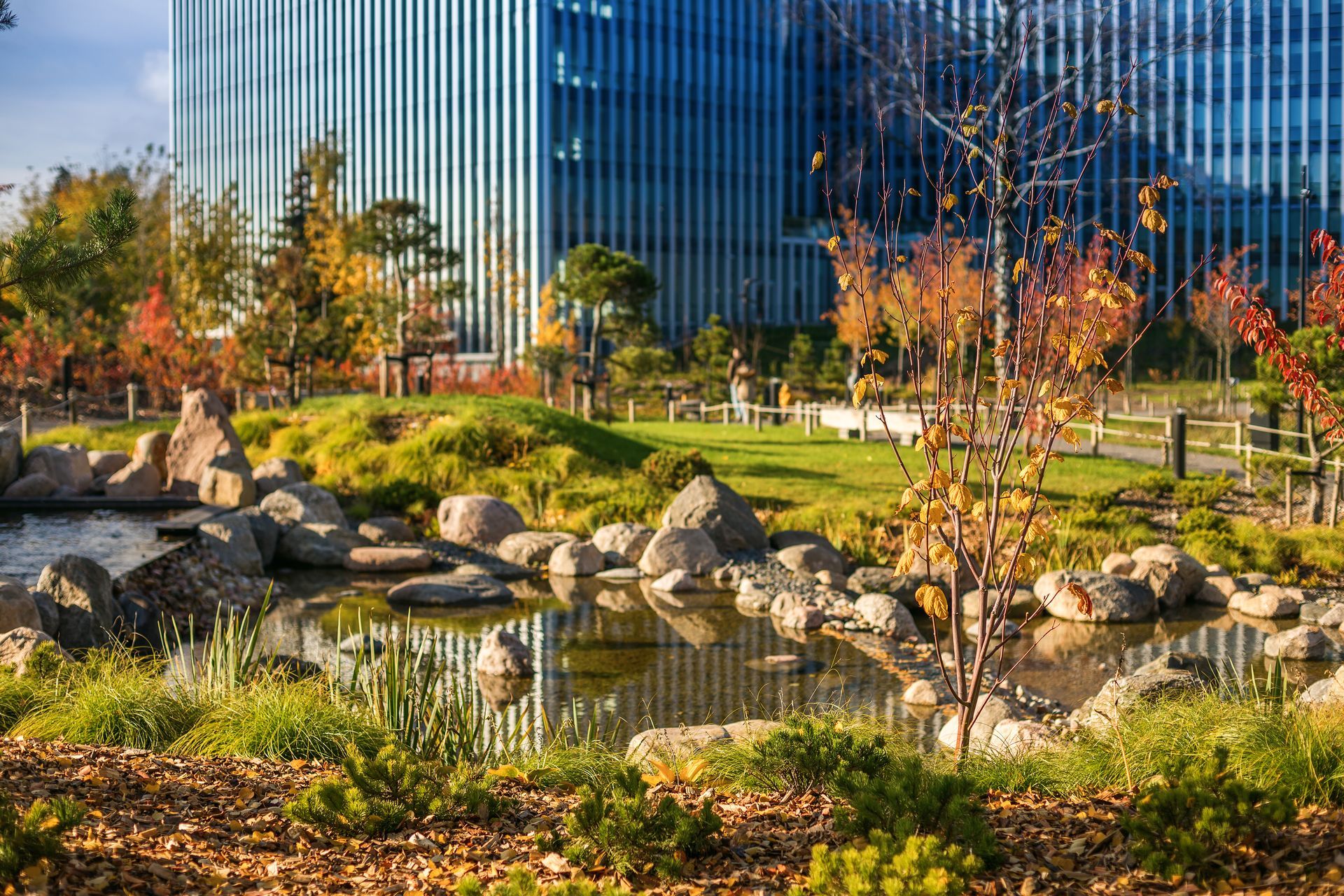 A pond in a park with a large building in the background.
