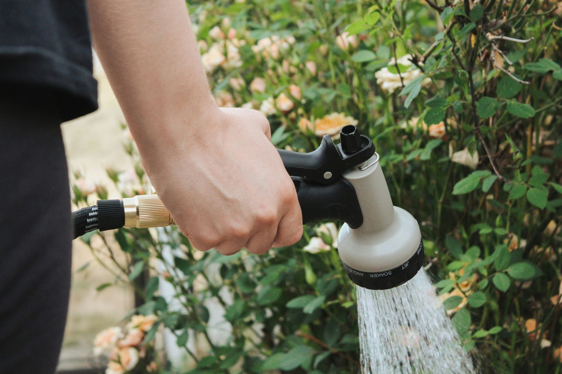 Person watering plants with a garden hose, water spraying from the nozzle.