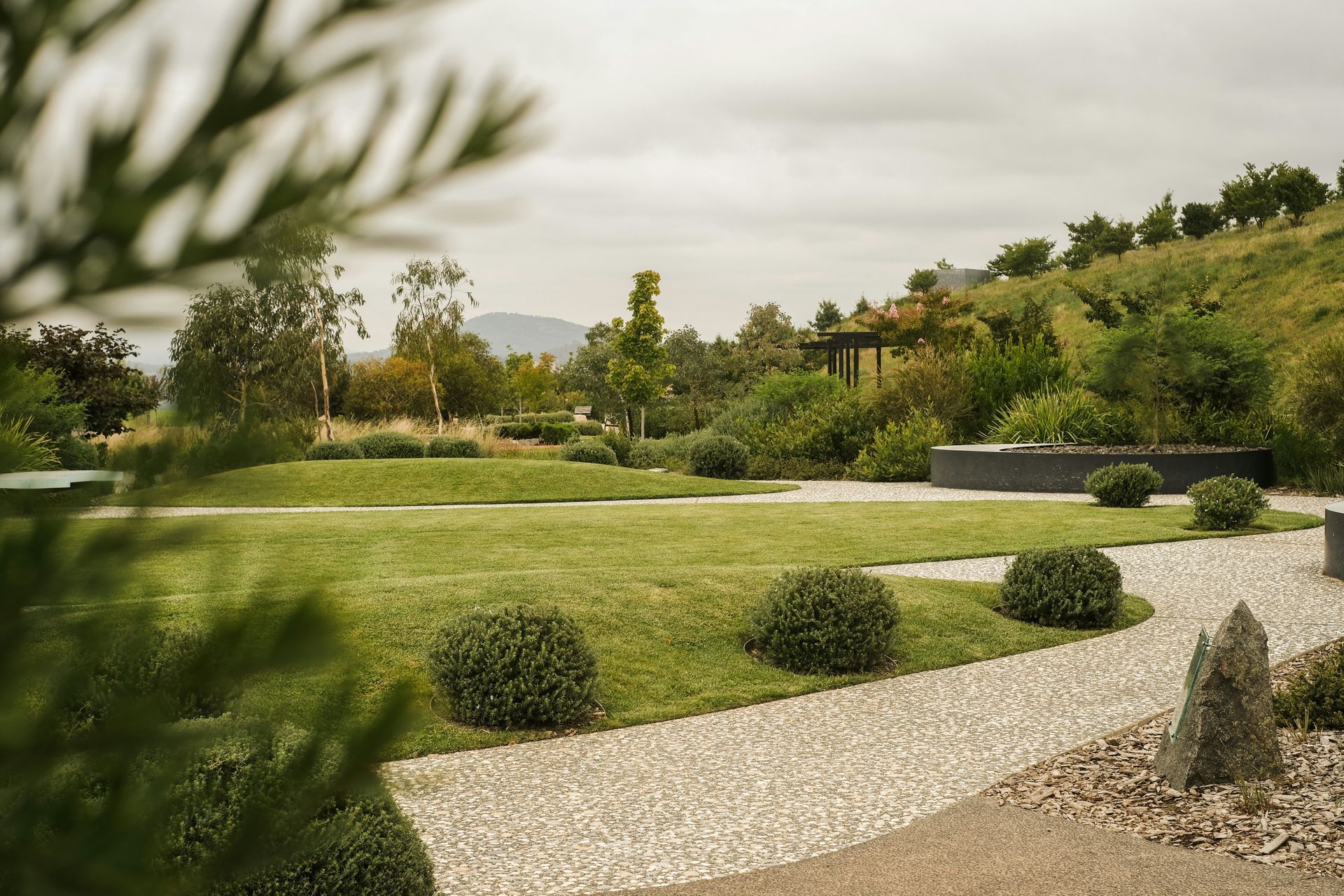 Drought-tolerant landscaping with native plants and rocks in a Riverside CA yard
