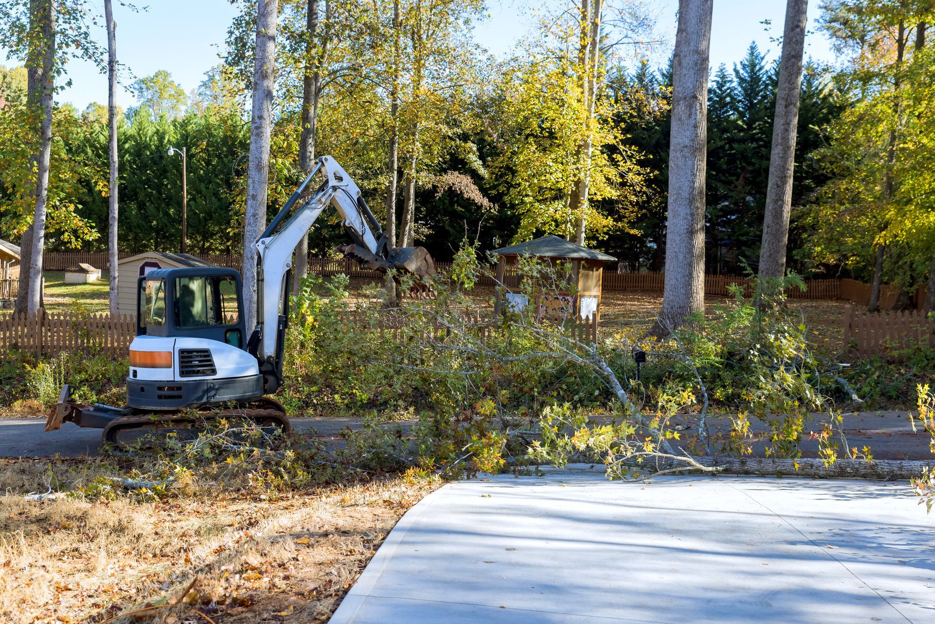 A small excavator is cutting down trees in a driveway.