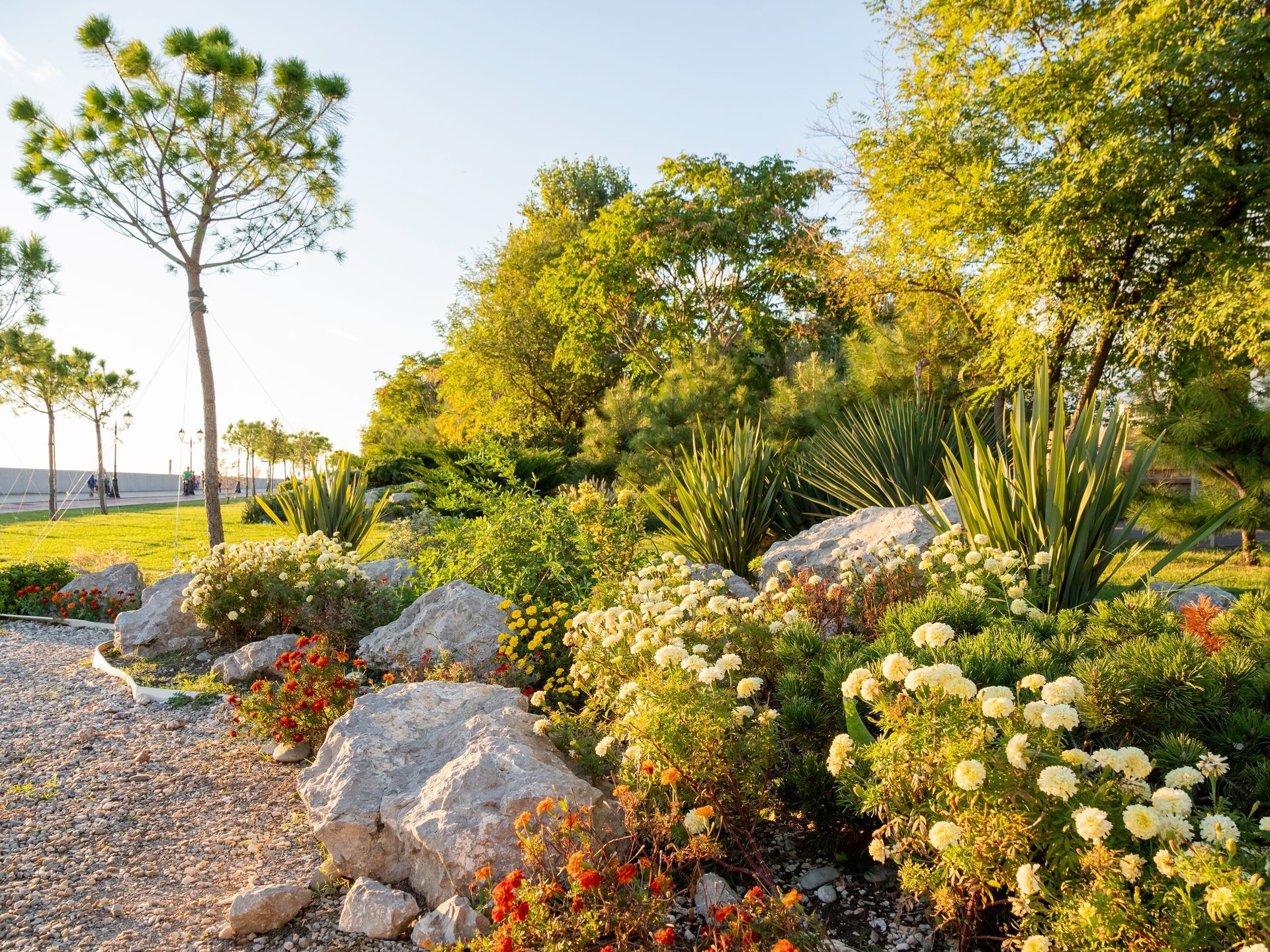 A garden filled with lots of flowers and trees
