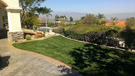 A lush green lawn is surrounded by trees and bushes in front of a house.