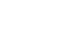 BeSpoke Vision eyeglasses logo