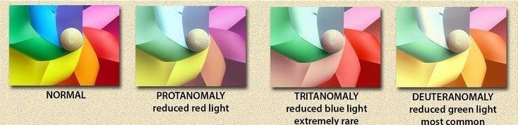 Could I Be Color Blind?