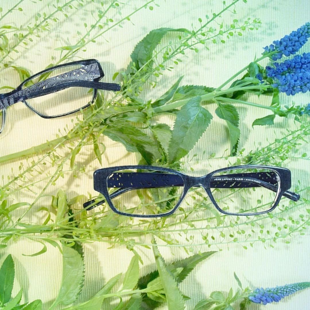 photo of eyeglass frames and foliage