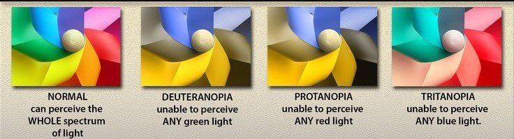 How the absence of a color receptor or dichromacy affect visual perception of colors.