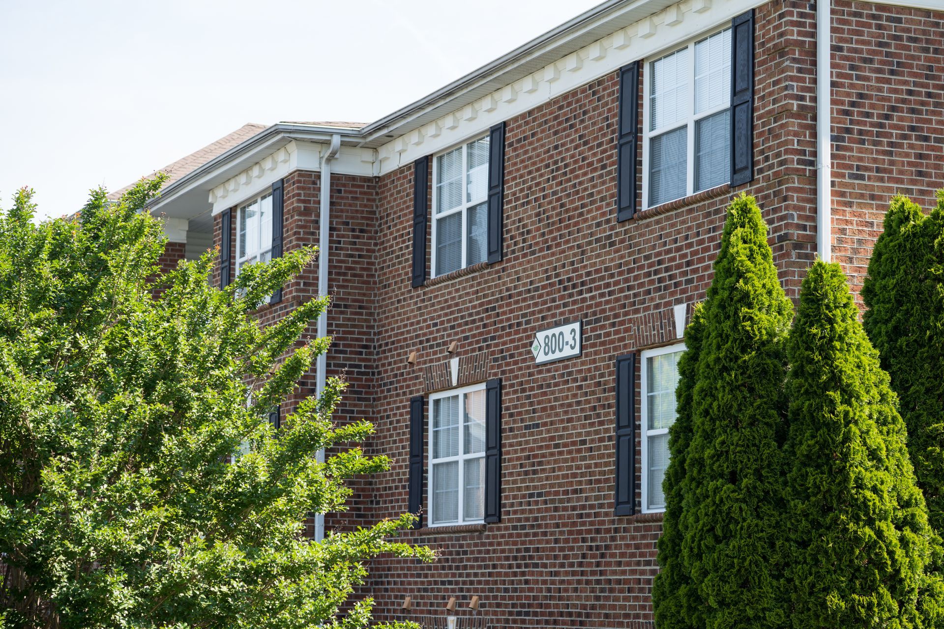 windows at greenhaven