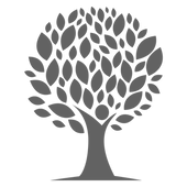 A silhouette of a tree with leaves on a white background.