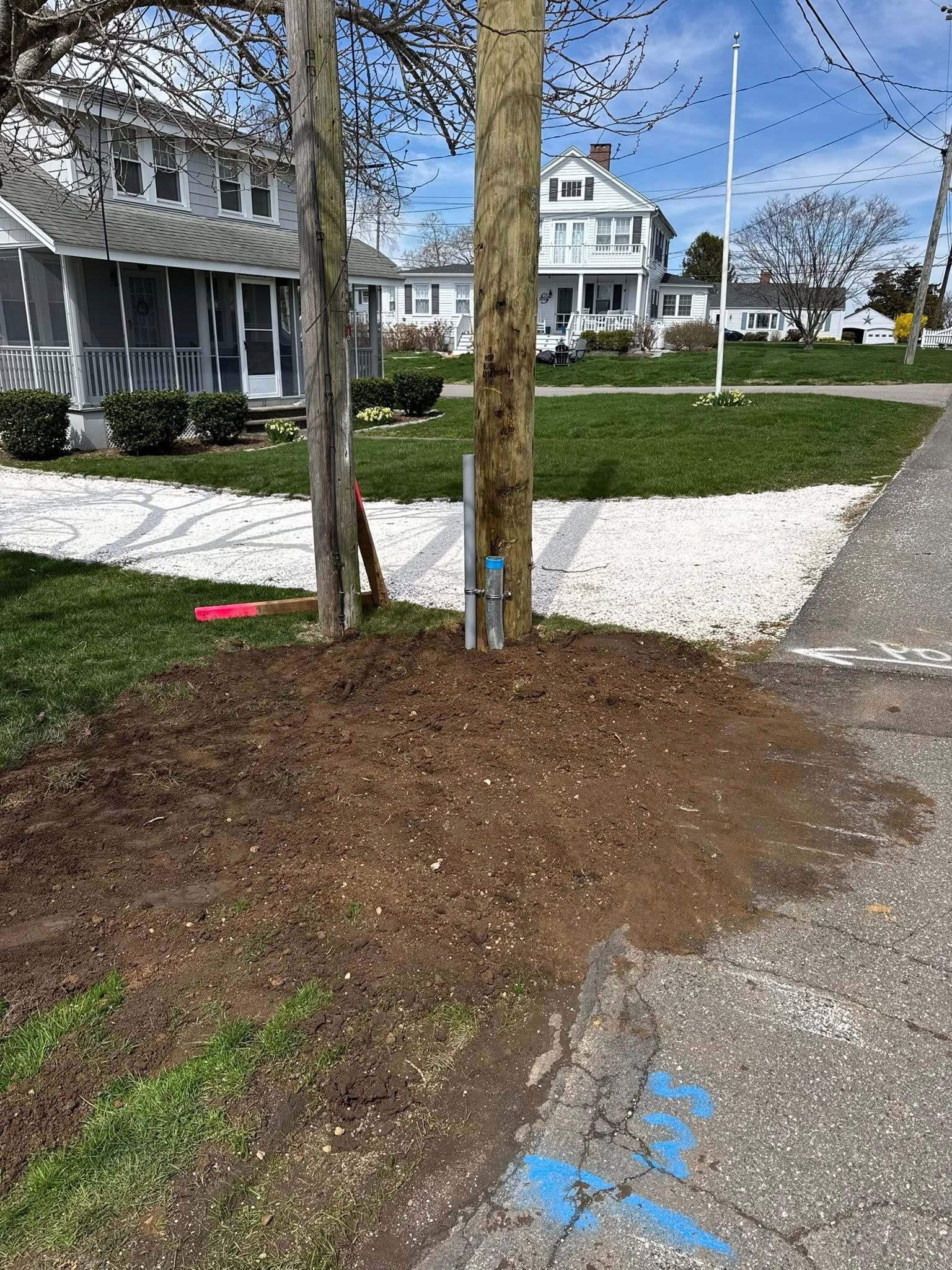 Trees mulched near sidewalk and grass, with houses in the background on a sunny day.
