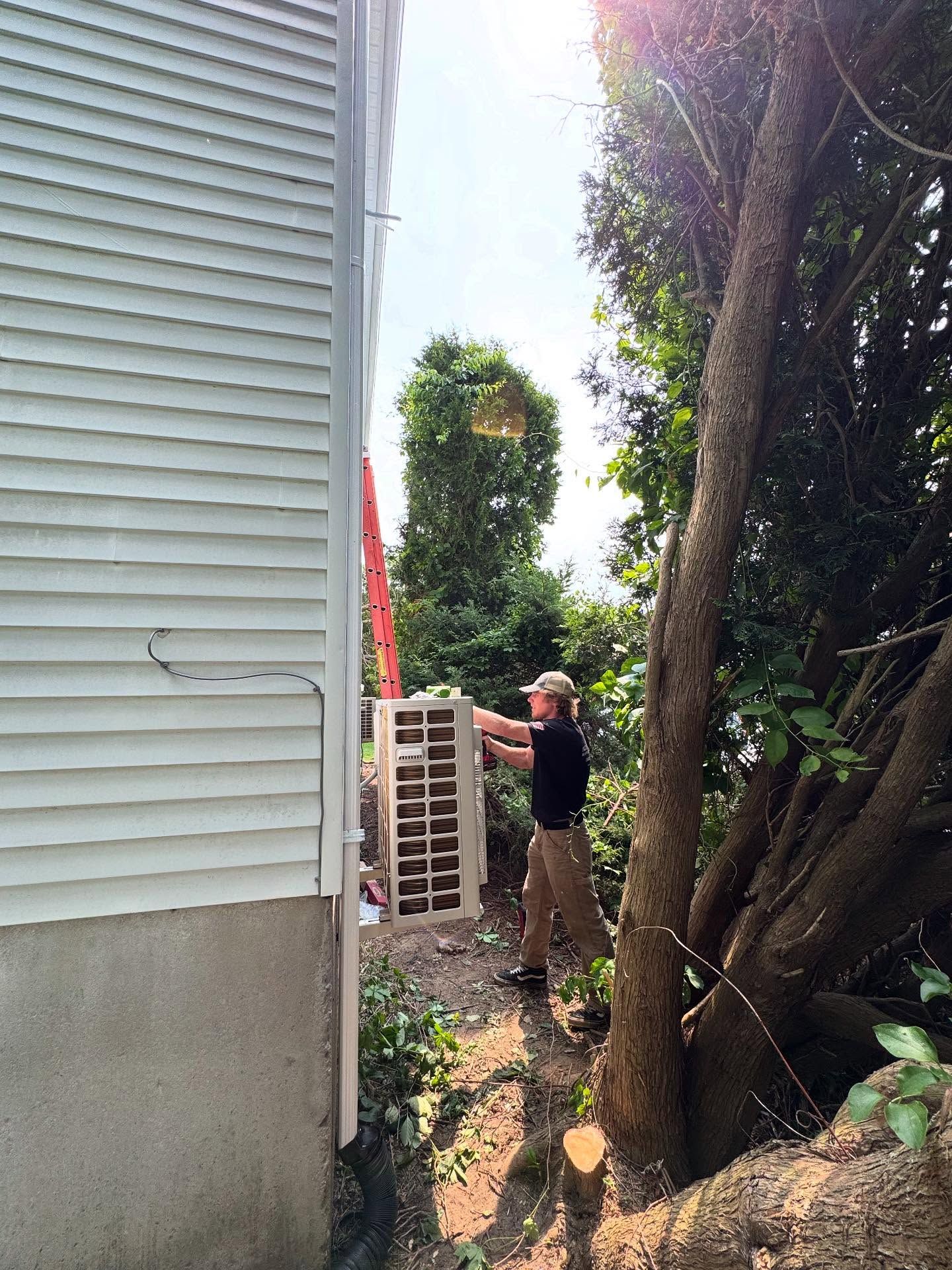 Person by house with white siding, near trees, holding wooden structure. Bright sunlight.