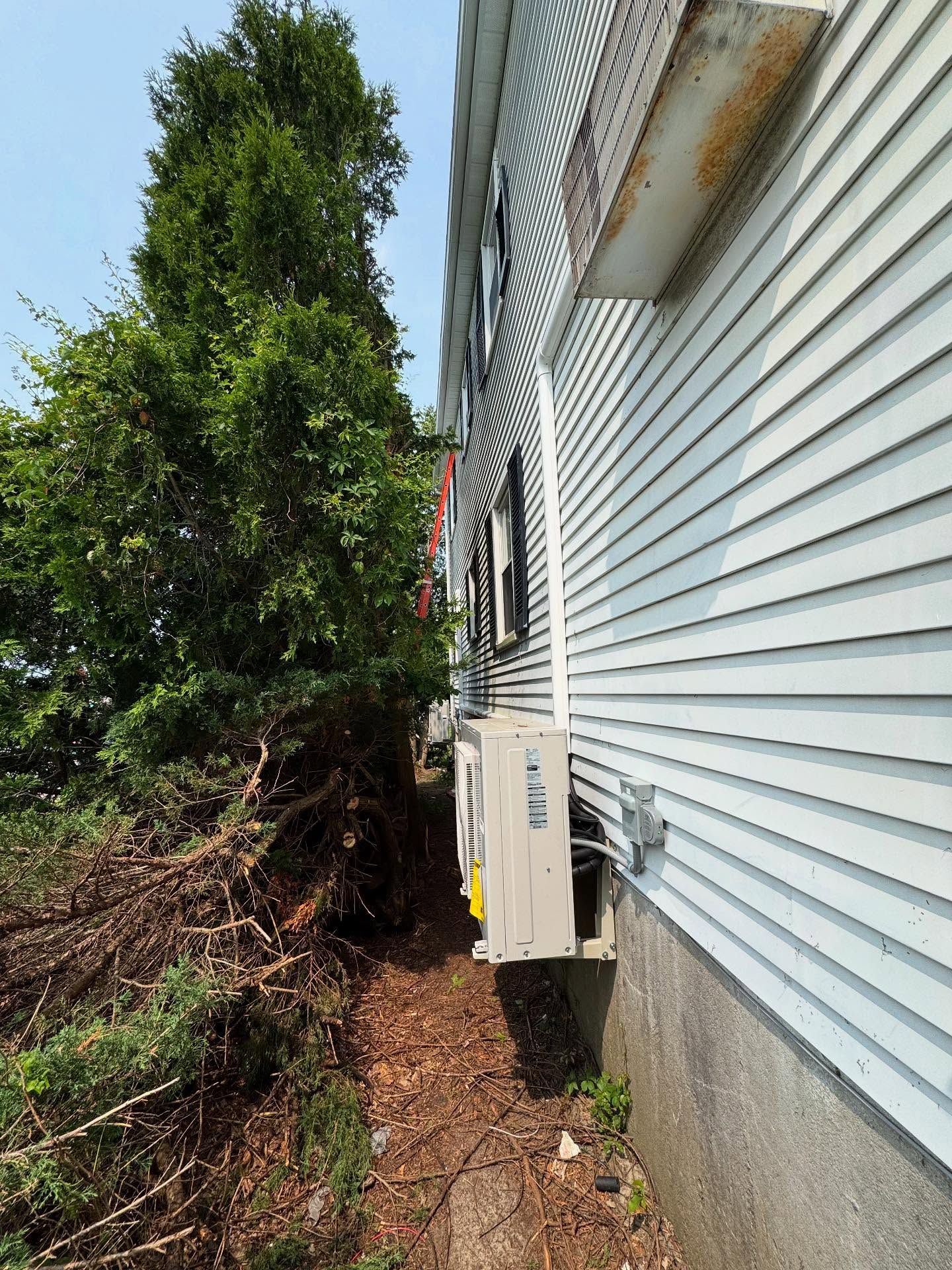 Exterior of a house with white siding and an air conditioning unit. A tall, green tree grows beside it.