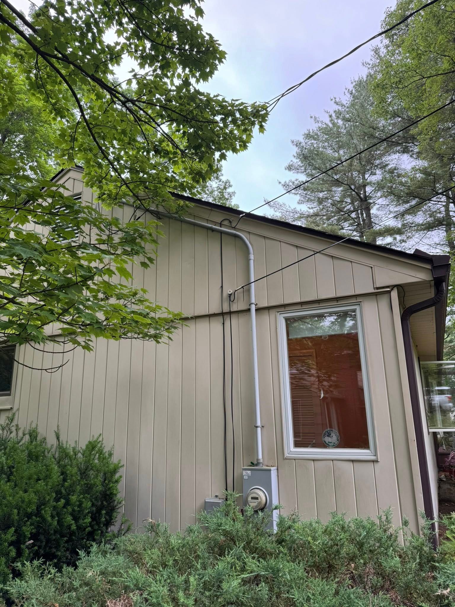 Tan house exterior with electrical conduit and meter, window with orange-tinted glass. Green foliage surrounds.