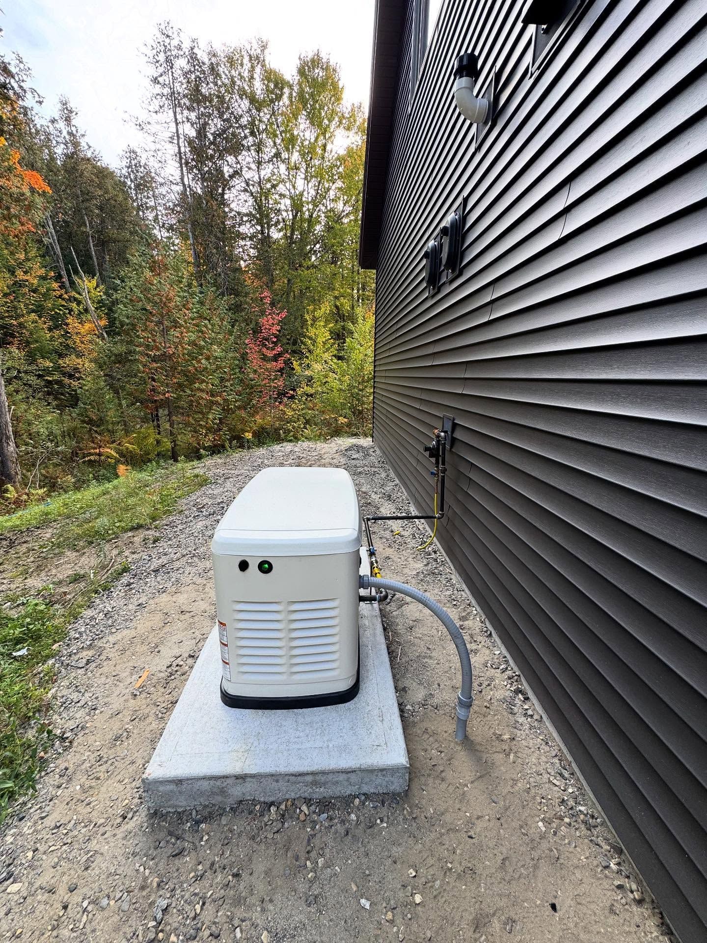 Generator on concrete pad next to a house with dark siding. Gray gravel path and foliage in background.