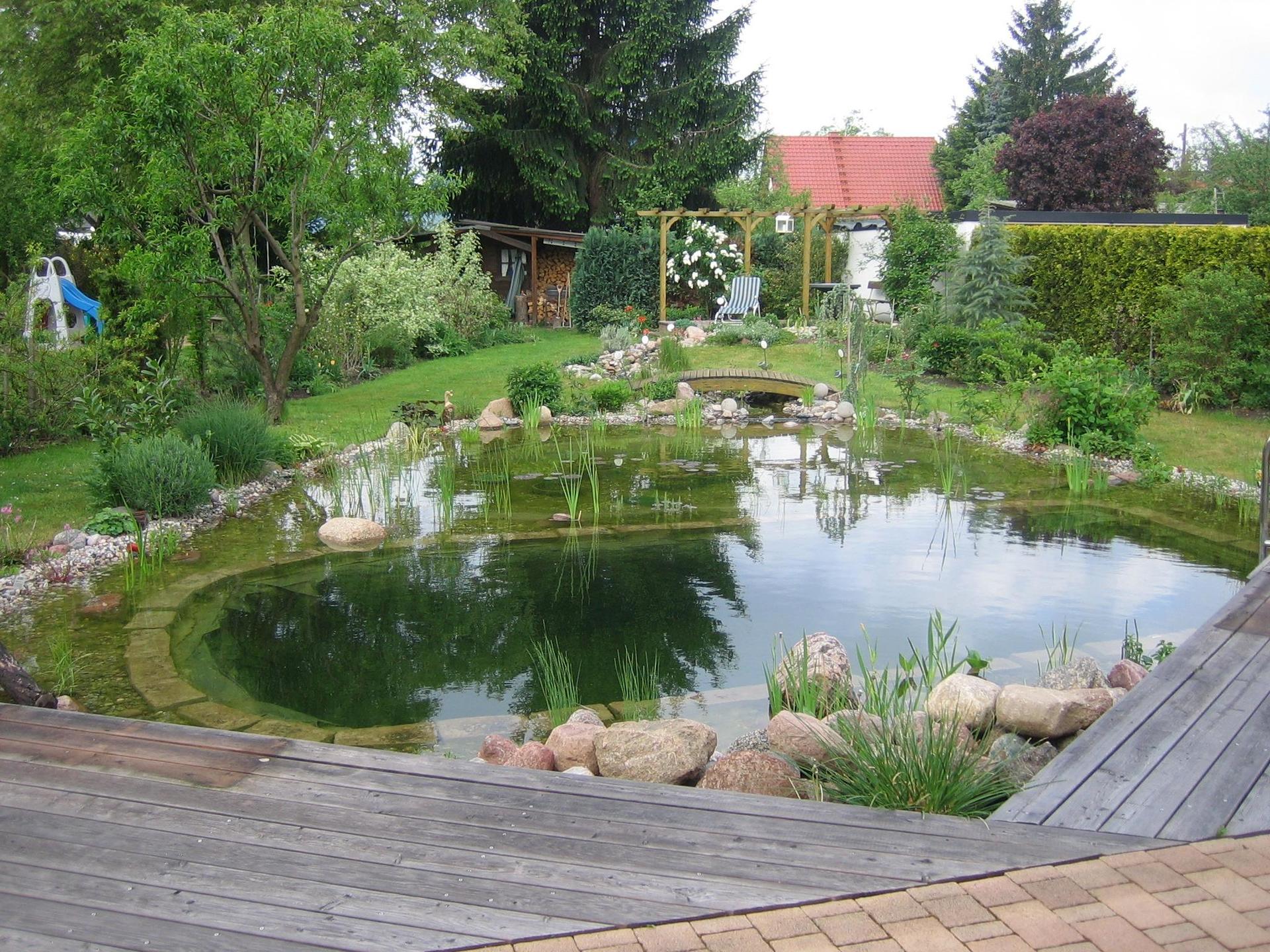 A large pond in the middle of a garden