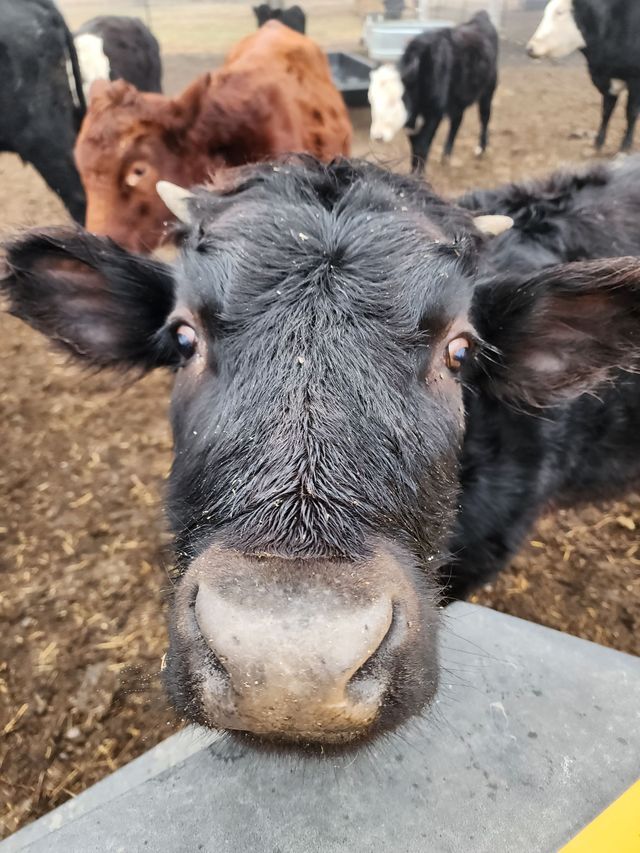 Hillcreek Market photo 18