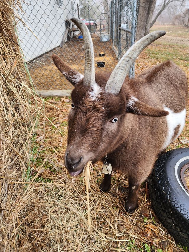 Hillcreek Market photo 21