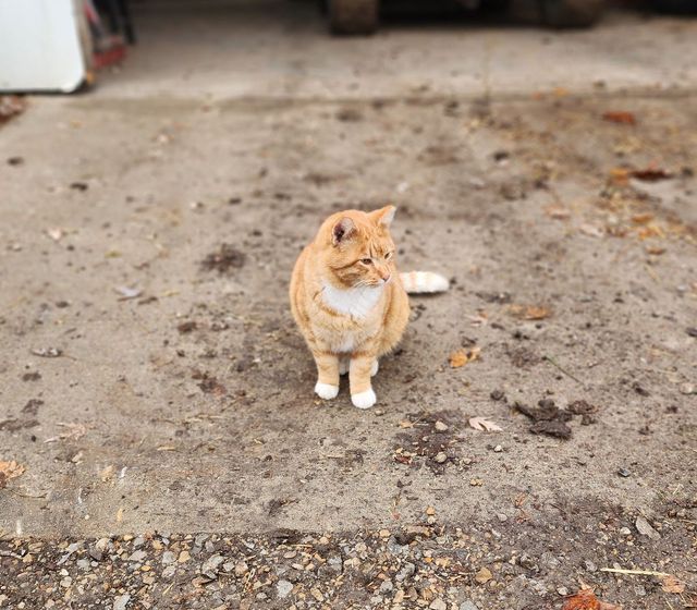 Hillcreek Market photo 16